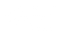 mission-brazil-logo-web-w